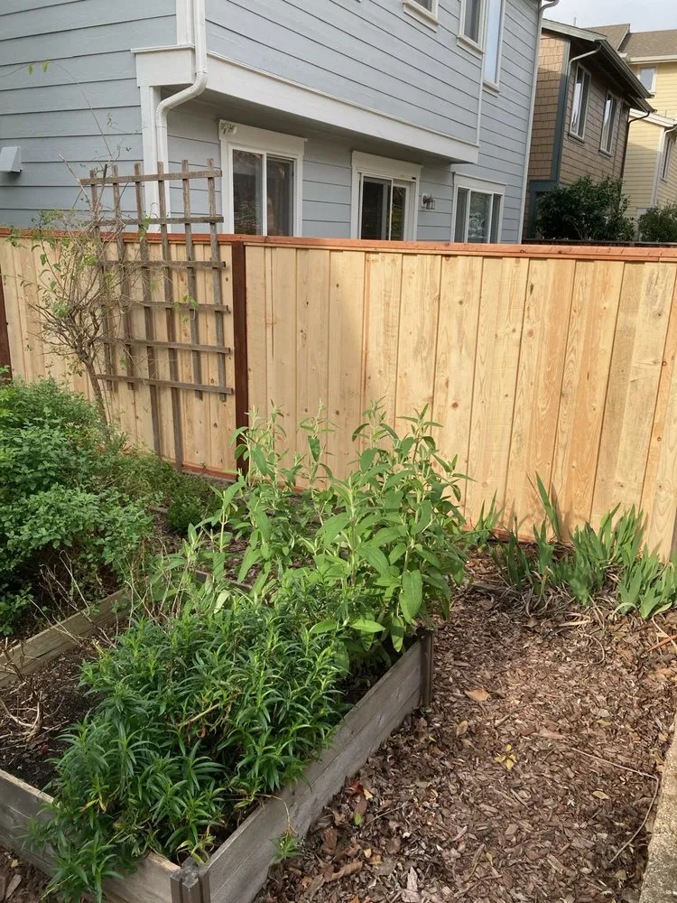 Reliable landscape design in Hercules, CA - Noma Land Designs