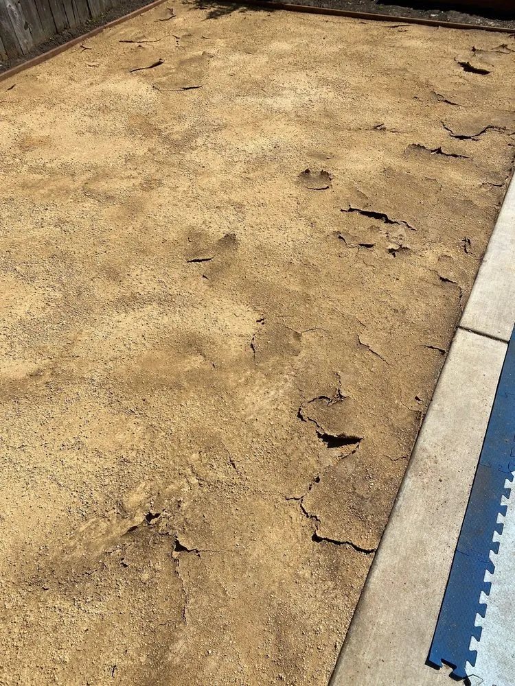 Affordable yard cleanup service for outdoor upgrades in Hercules, CA by Noma Land Designs