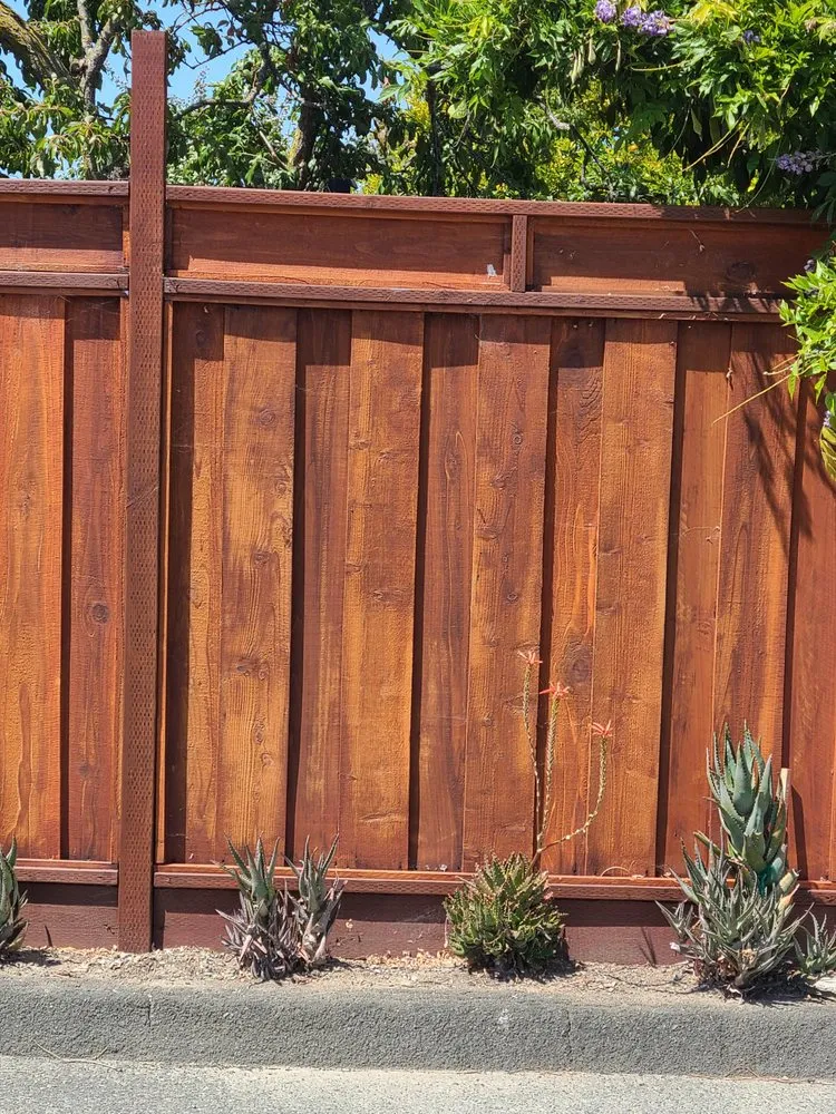 Expert landscape design in Hercules, CA by Noma Land Designs