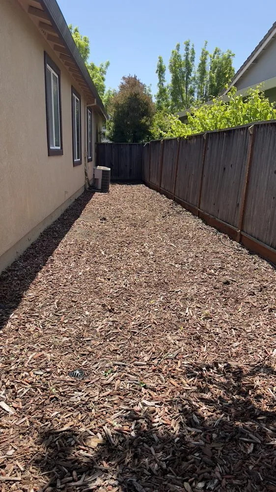 Top-rated lawn mowing service for homes across Hercules, CA - Noma Land Designs