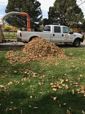 Nomad Lawn & Property Maintenance Logo