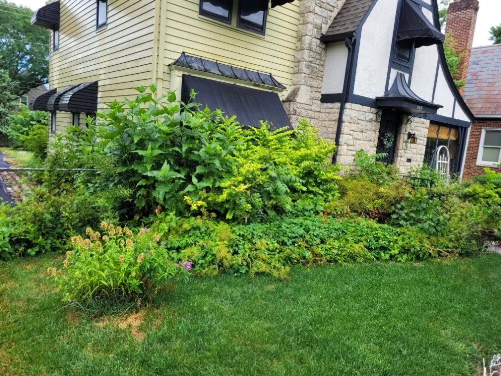 Affordable outdoor landscaping near you across Columbus, OH - Non-Stop Lawn Care