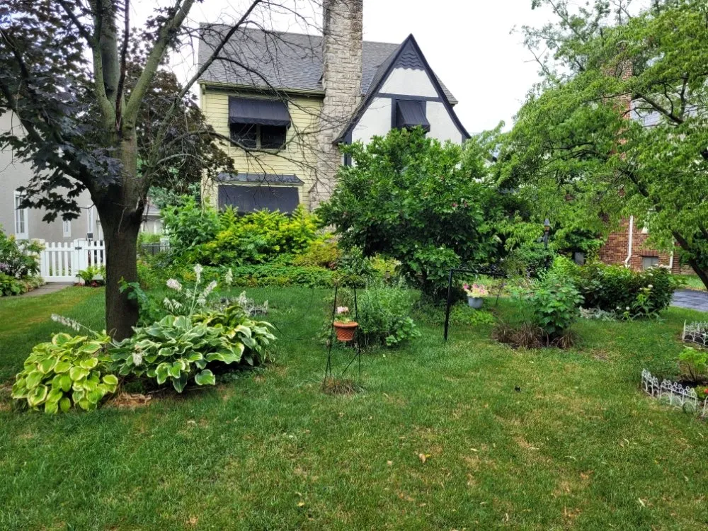 Expert lawn care service in Columbus, OH - Non-Stop Lawn Care
