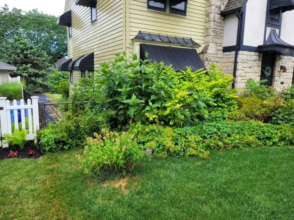 Expert residential landscaping experts serving Columbus, OH - Non-Stop Lawn Care