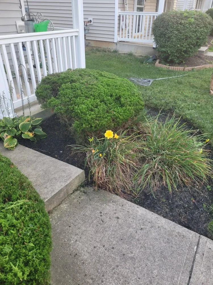 Professional residential landscaping for year-round maintenance in Columbus, OH by Non-Stop Lawn Care