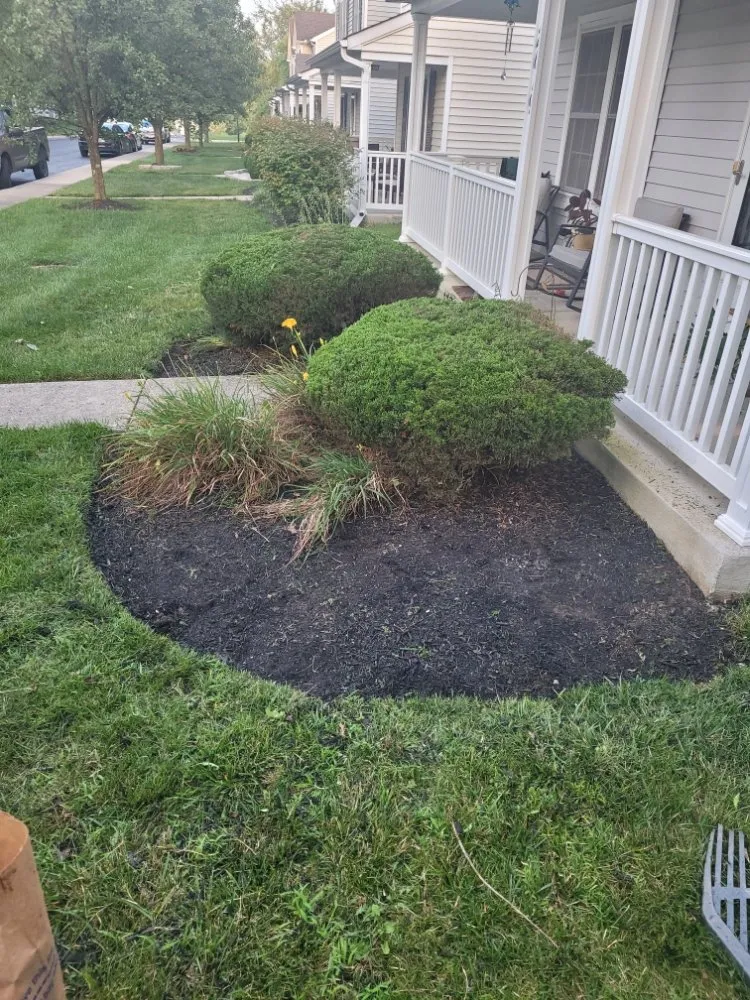 Local yard cleanup service in Columbus, OH - Non-Stop Lawn Care