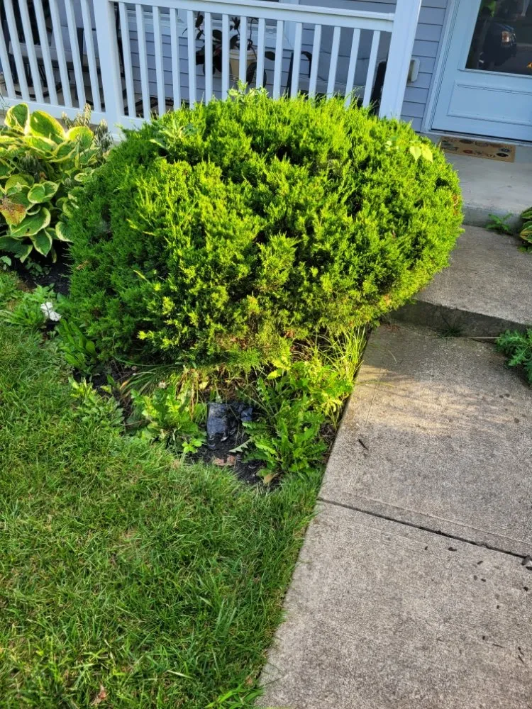 Expert landscaping services for homes in Columbus, OH by Non-Stop Lawn Care