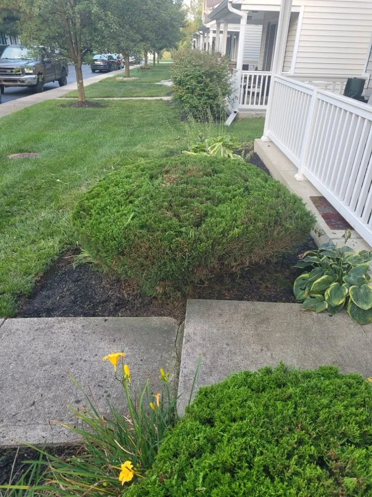 Local landscape installation in Columbus, OH by Non-Stop Lawn Care