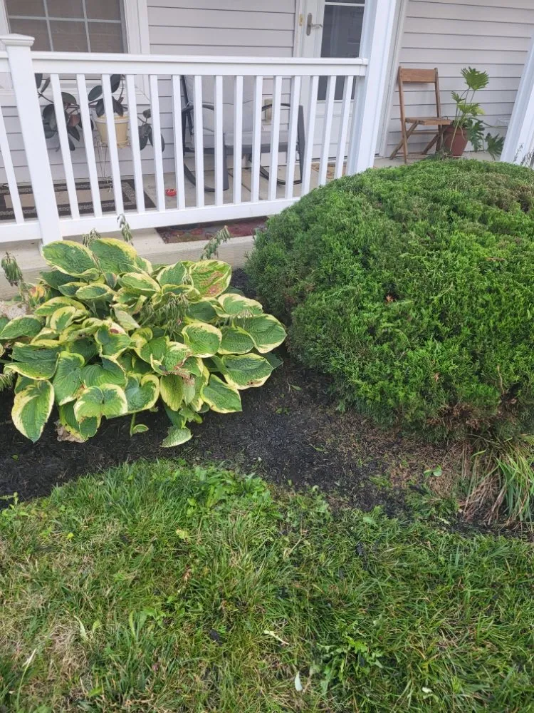 Affordable lawn care service for beautiful yards across Columbus, OH - Non-Stop Lawn Care