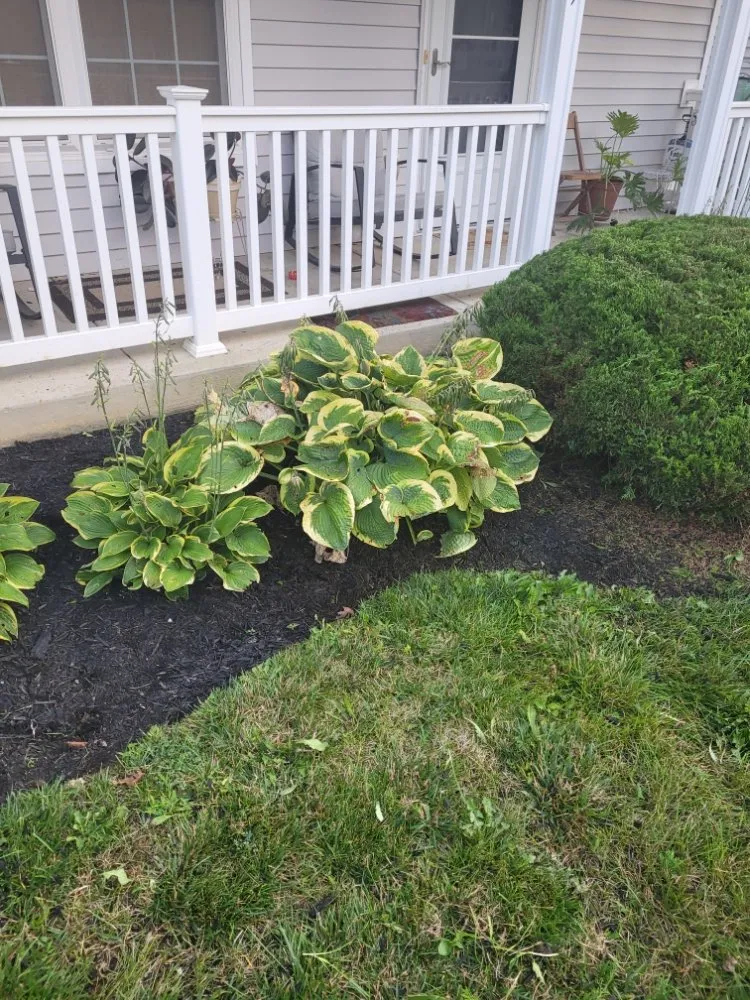 Custom landscape design in Columbus, OH - Non-Stop Lawn Care