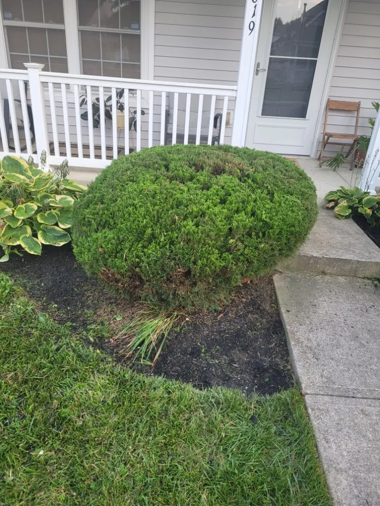 Professional lawn mowing service near you across Columbus, OH - Non-Stop Lawn Care