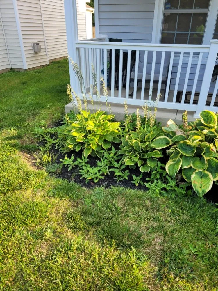 Custom lawn mowing service for beautiful yards across Columbus, OH - Non-Stop Lawn Care