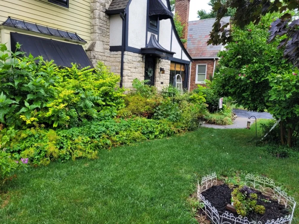 Professional landscaping services experts serving Columbus, OH - Non-Stop Lawn Care