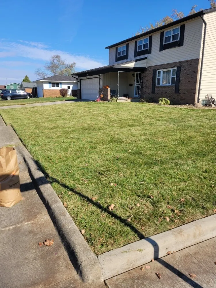 Expert yard cleanup service near you across Columbus, OH - Non-Stop Lawn Care