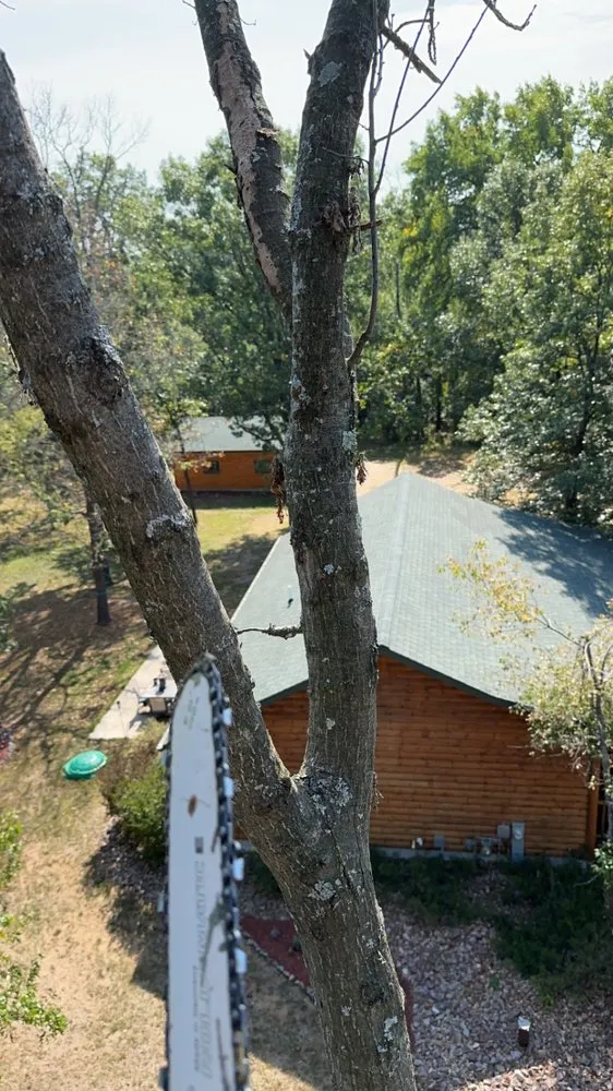 Reliable yard cleanup service for year-round maintenance across Wisconsin Rapids, WI - Nona Homes