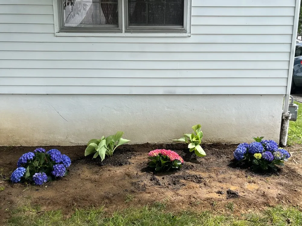 Top-rated yard maintenance experts serving Frankfort, KY - None Such Gardens