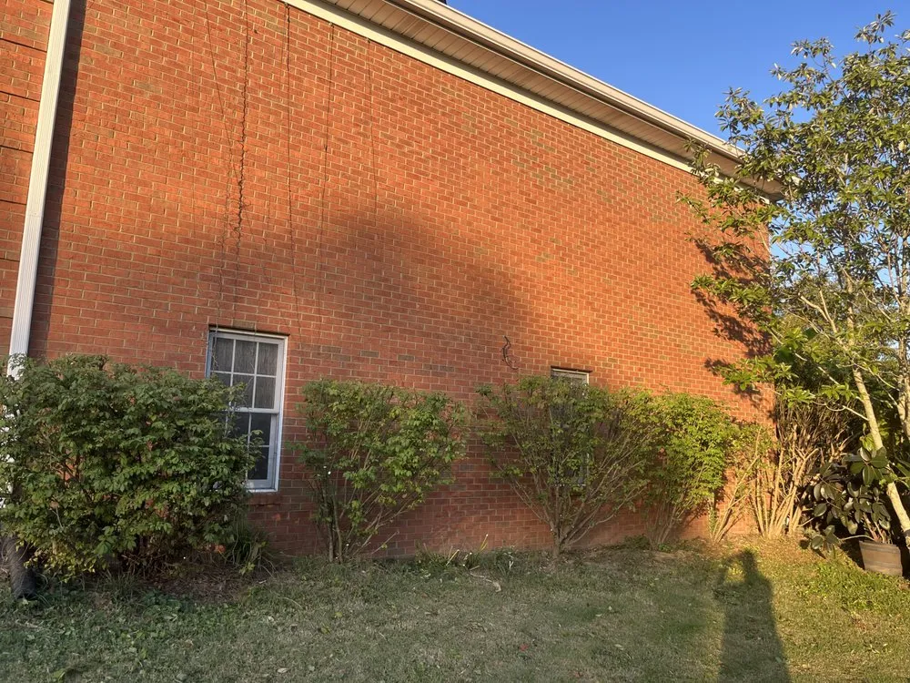 Reliable landscape installation experts serving Frankfort, KY - None Such Gardens