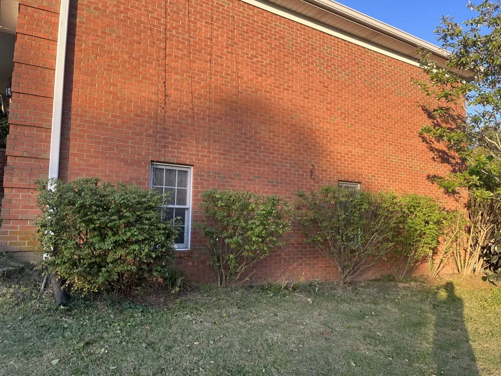 Expert lawn care service experts serving Frankfort, KY - None Such Gardens