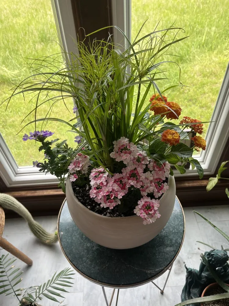 Affordable residential landscaping experts serving Frankfort, KY - None Such Gardens