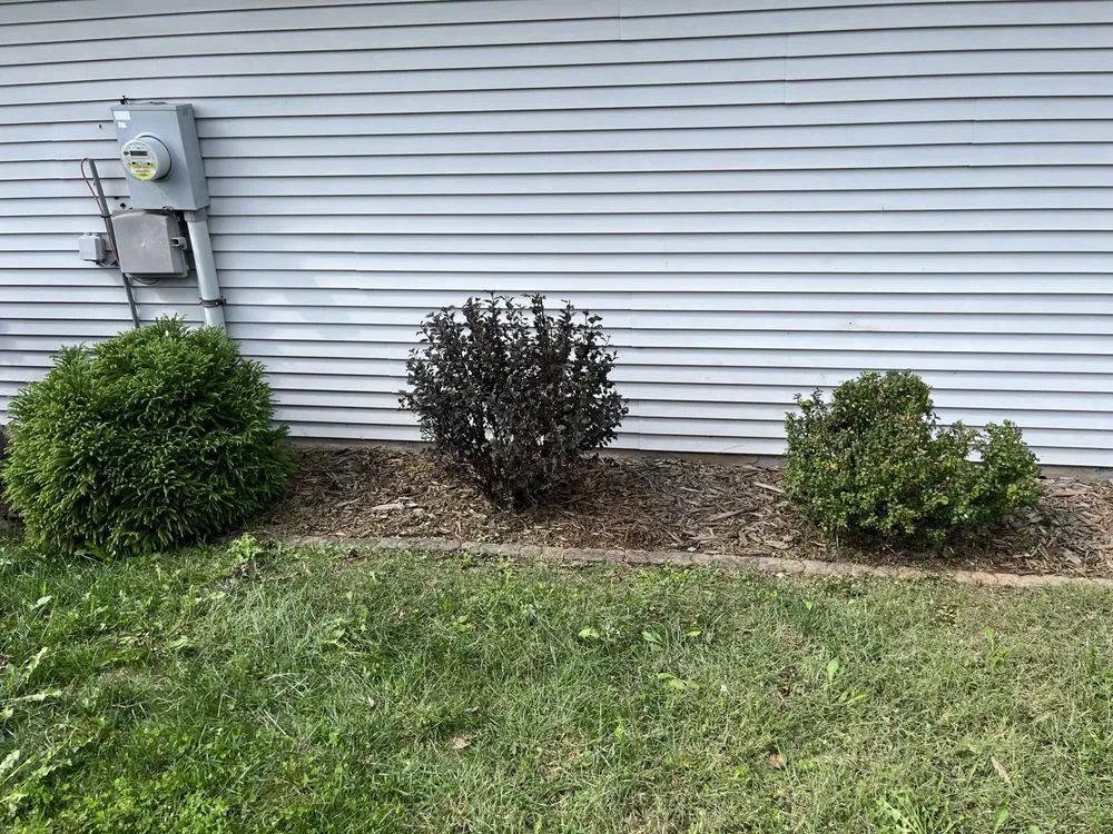 Trusted yard cleanup service in Frankfort, KY by None Such Gardens