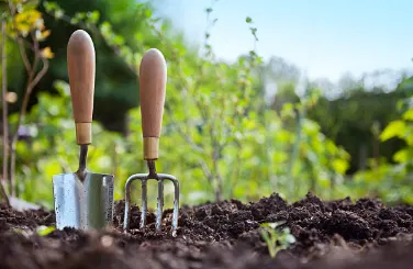 Trusted outdoor landscaping experts serving Frankfort, KY - None Such Gardens