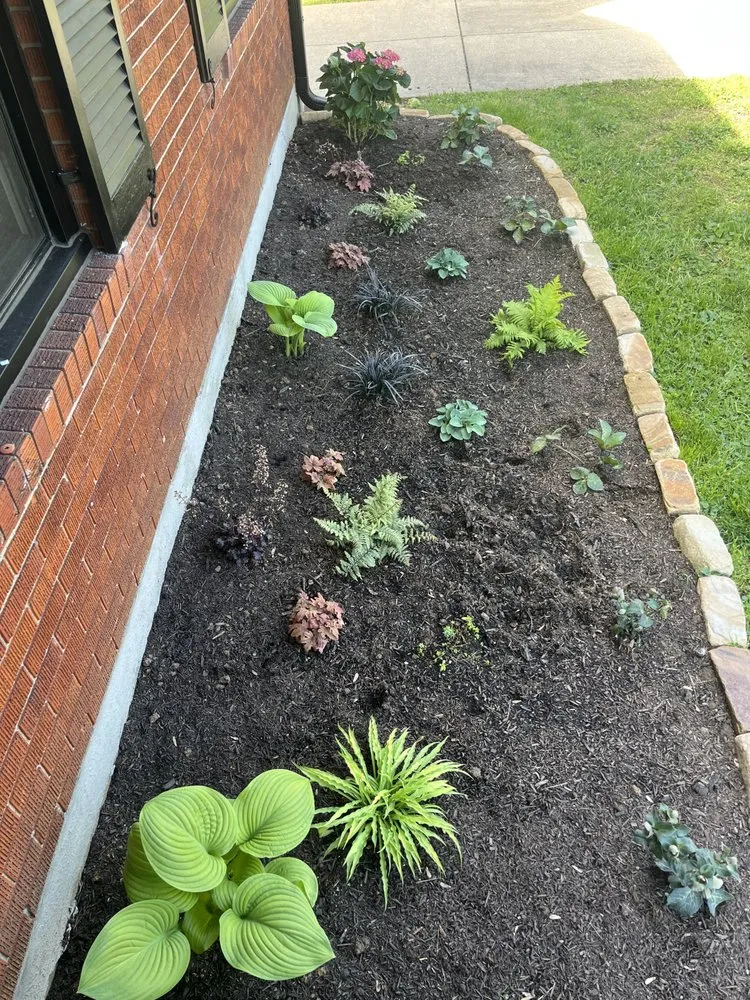 Custom yard cleanup service in Frankfort, KY by None Such Gardens