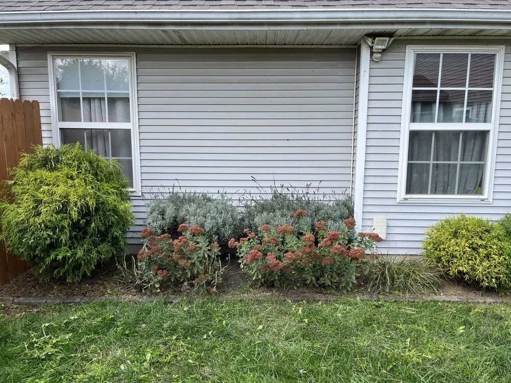 Trusted outdoor landscaping in Frankfort, KY by None Such Gardens