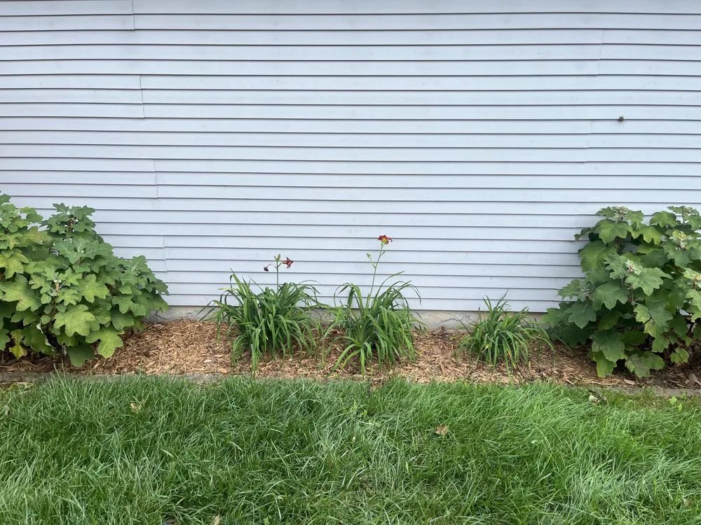 Affordable lawn mowing service in Frankfort, KY by None Such Gardens