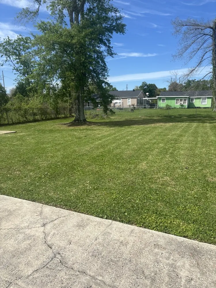 Local landscaping services for year-round maintenance across Lake Charles, LA - Nonette's Professional services