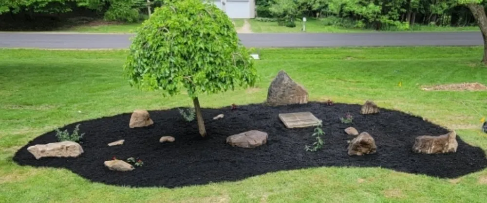 Reliable yard maintenance in Malvern, OH - Nooch Boys