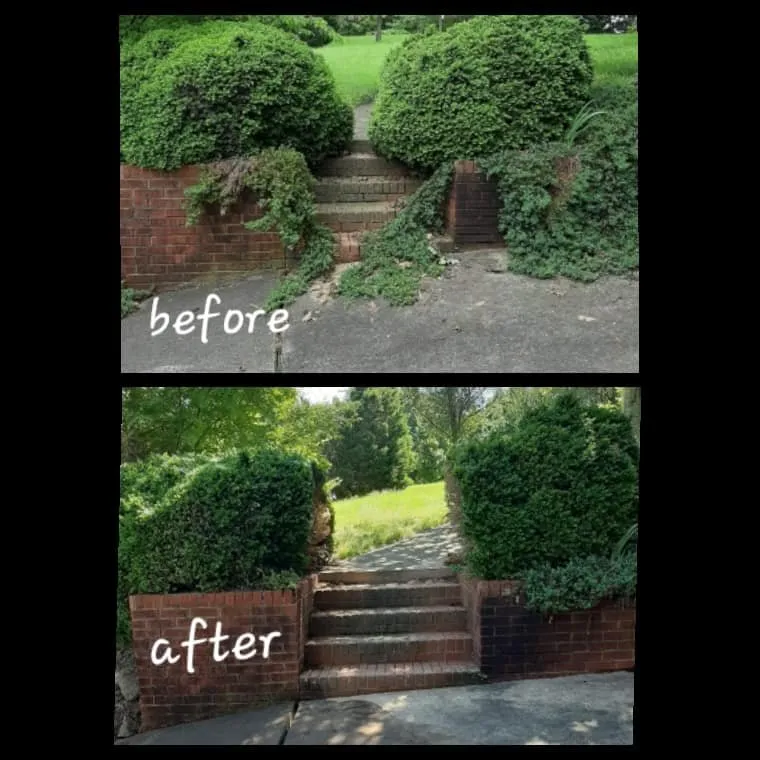 Reliable yard cleanup service experts serving High Point, NC - Nooe Lawn Care
