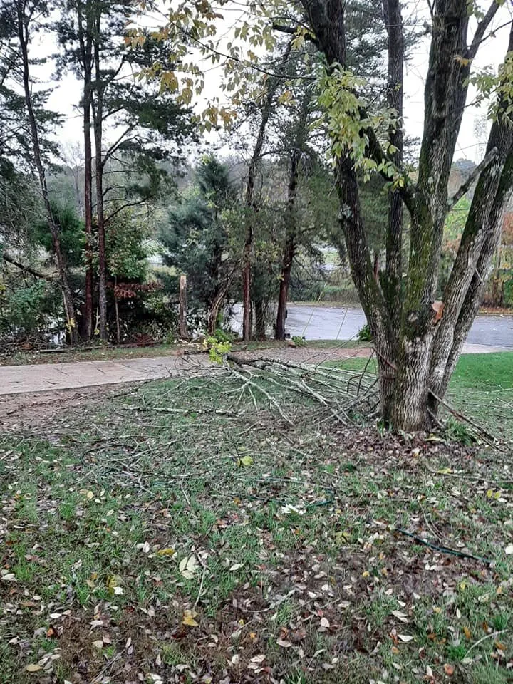 Top-rated landscape installation for residential properties across High Point, NC - Nooe Lawn Care