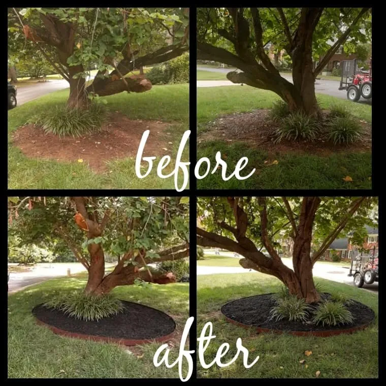 Top-rated landscaping services in High Point, NC by Nooe Lawn Care