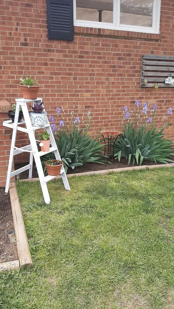 Local yard maintenance in High Point, NC - Nooe Lawn Care