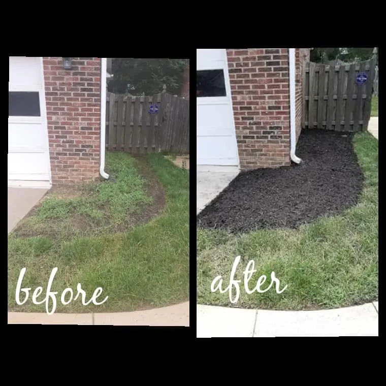 Custom yard cleanup service for beautiful yards across High Point, NC - Nooe Lawn Care