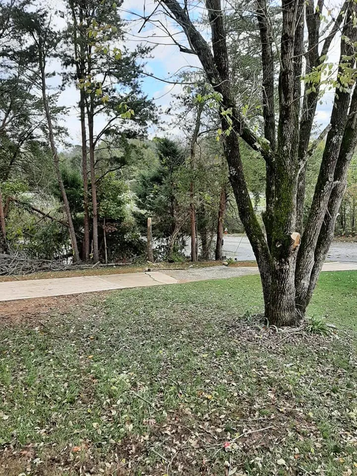 Local outdoor landscaping in High Point, NC - Nooe Lawn Care