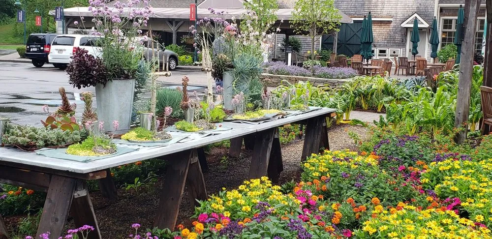 Professional yard cleanup service near you in Eliot, ME by Nooney Jacquelyn Landscape