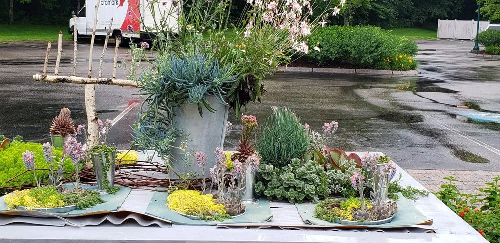 Affordable yard maintenance in Eliot, ME by Nooney Jacquelyn Landscape