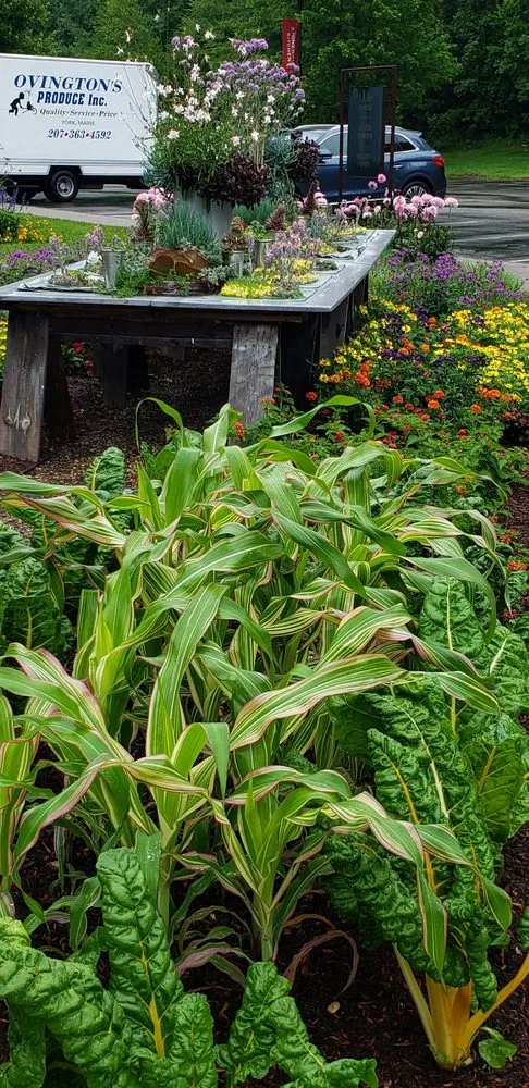 Local garden landscaping in Eliot, ME - Nooney Jacquelyn Landscape