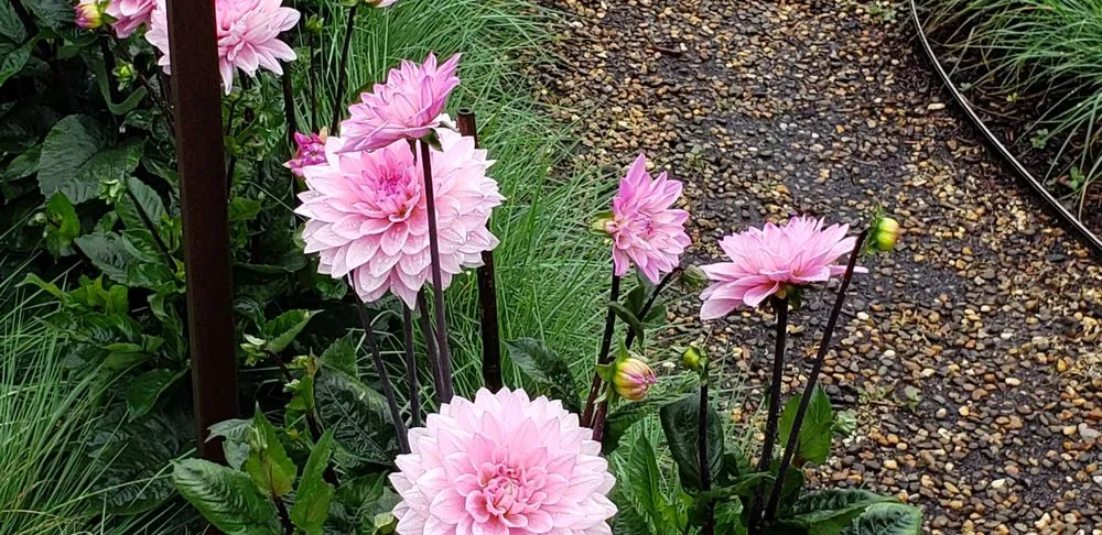 Trusted landscape design for homes across Eliot, ME - Nooney Jacquelyn Landscape