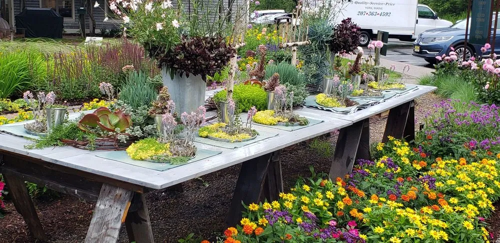 Top-rated lawn care service experts serving Eliot, ME - Nooney Jacquelyn Landscape