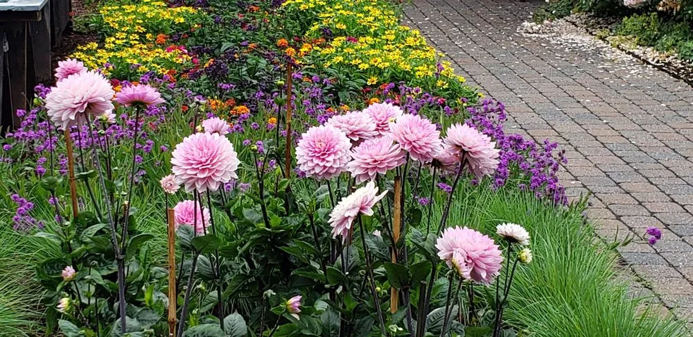 Professional outdoor landscaping in Eliot, ME - Nooney Jacquelyn Landscape