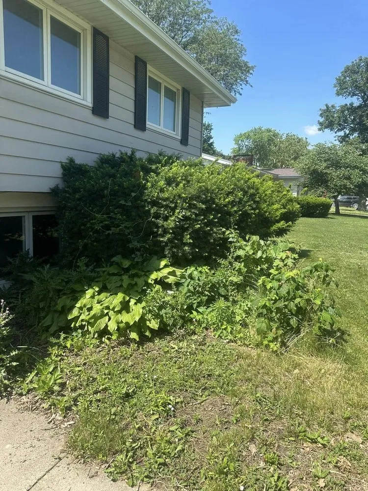 Expert residential landscaping in Ankeny, IA by Noori Elite Landscape