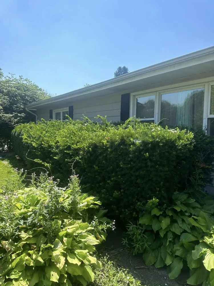 Top-rated lawn care service experts serving Ankeny, IA - Noori Elite Landscape