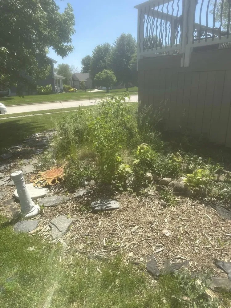 Trusted residential landscaping experts serving Ankeny, IA - Noori Elite Landscape