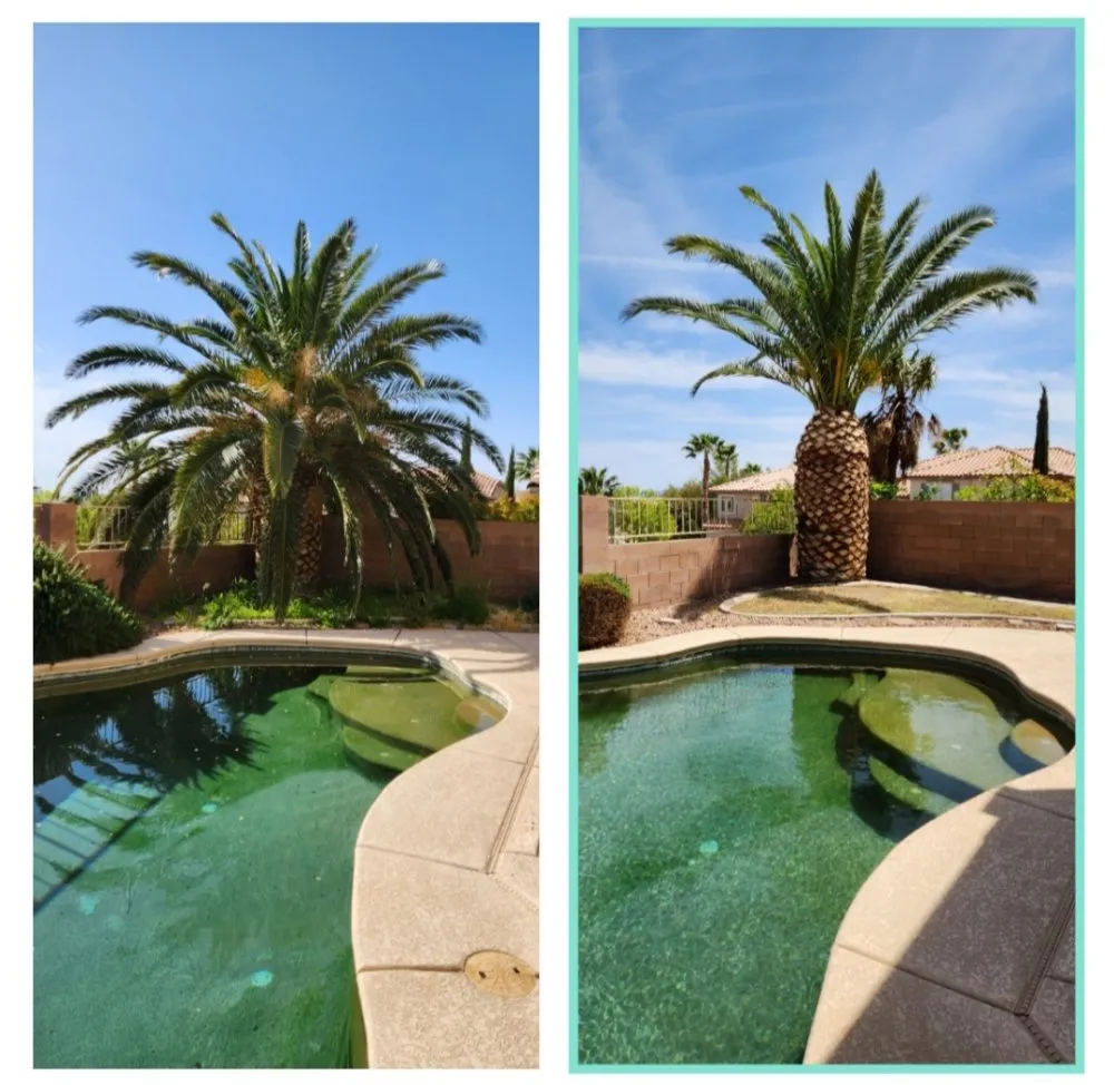 Local lawn mowing service in North Las Vegas, NV - Nopal Lawn Maintenance