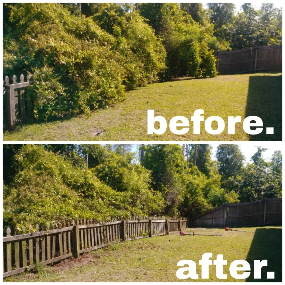 Custom landscape installation in Orlando, FL by NOR Lawn Care