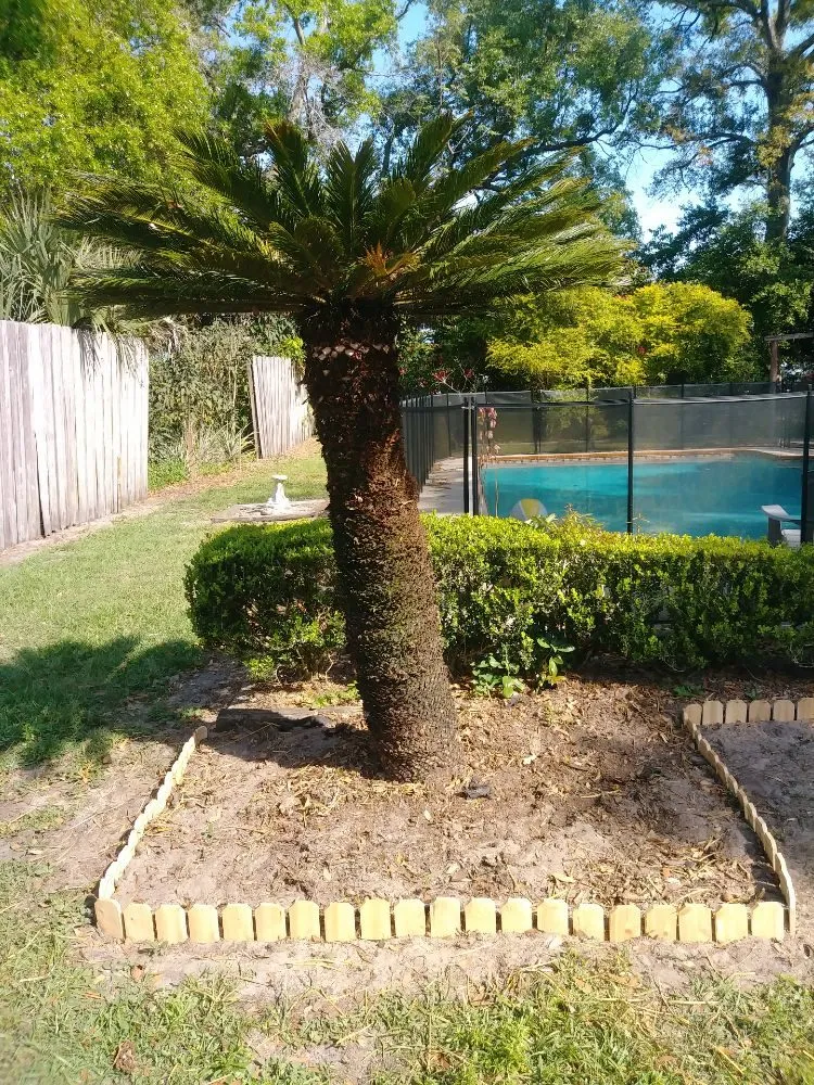 Top-rated yard cleanup service experts serving Orlando, FL - NOR Lawn Care