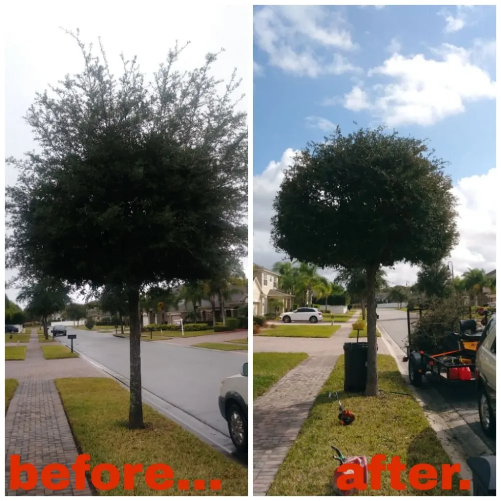 Trusted landscape design experts serving Orlando, FL - NOR Lawn Care