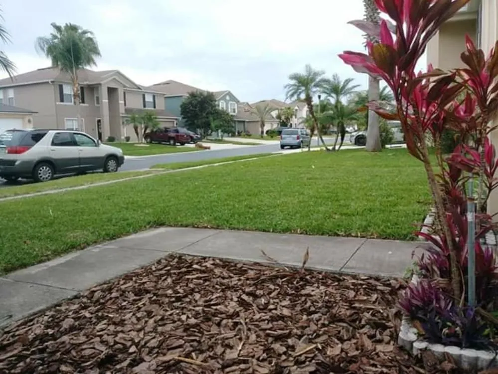 Professional landscape installation in Orlando, FL - NOR Lawn Care